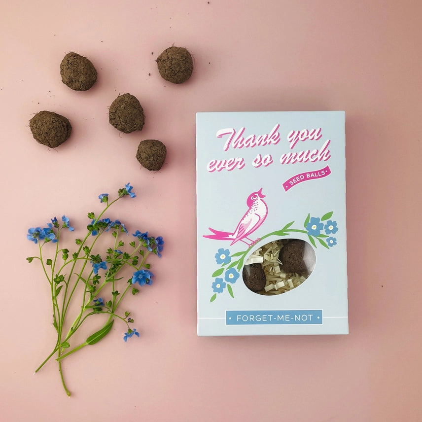 Thank You So Much - Forget Me Not Seed Balls - Sale