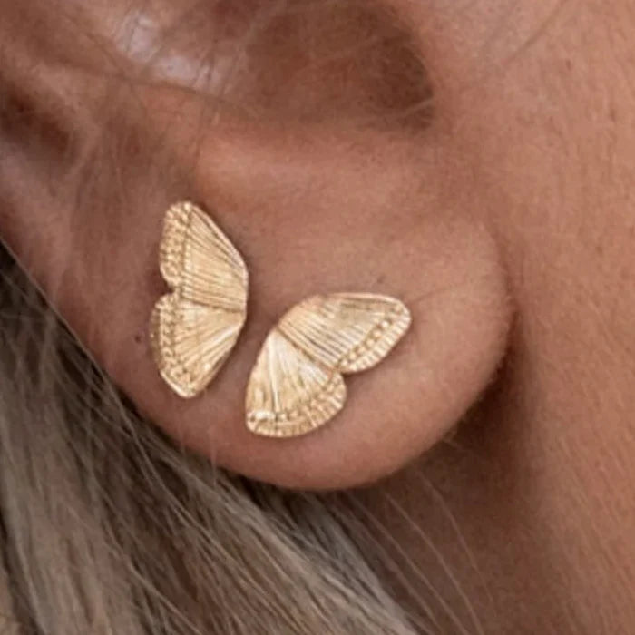 Butterfly Wing Stud Earrings - Stainless Steel 14K