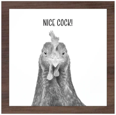 Nice Cock