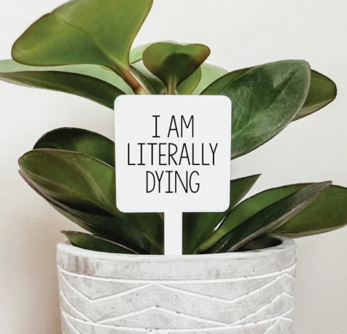 Literally Dying Plant Marker