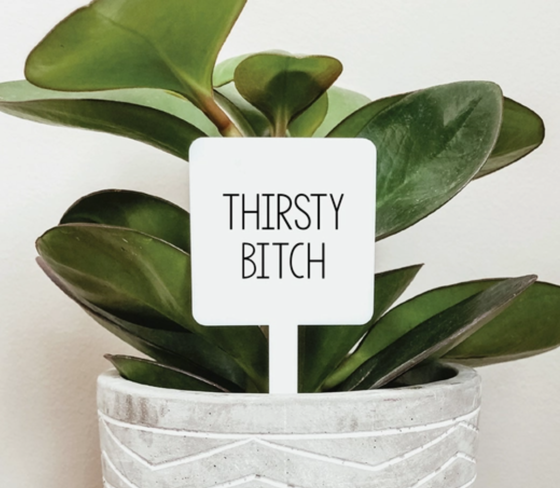 Thirsty Bitch Plant Marker