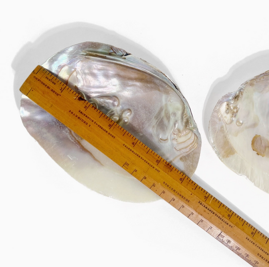 Pearl Shell Dish | Sage Smudge Bowl