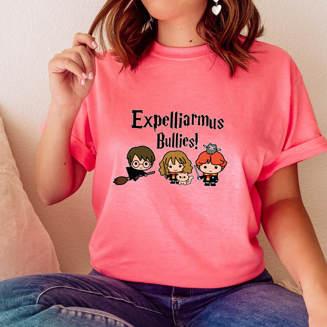 EXPELLIARMUS BULLIES