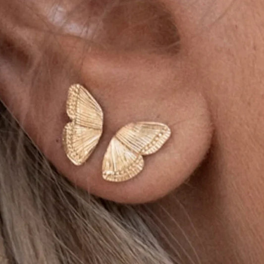 Butterfly Wing Stud Earrings - Stainless Steel 14K