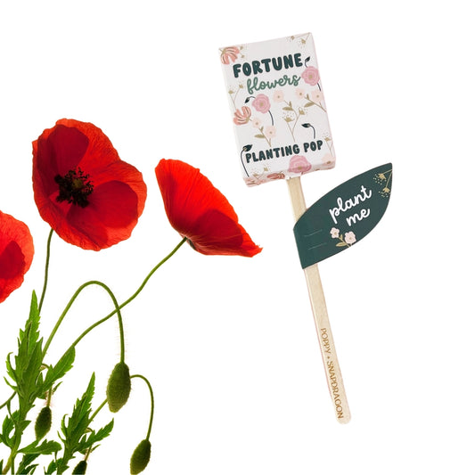 Fortune Flowers Planting Pop
