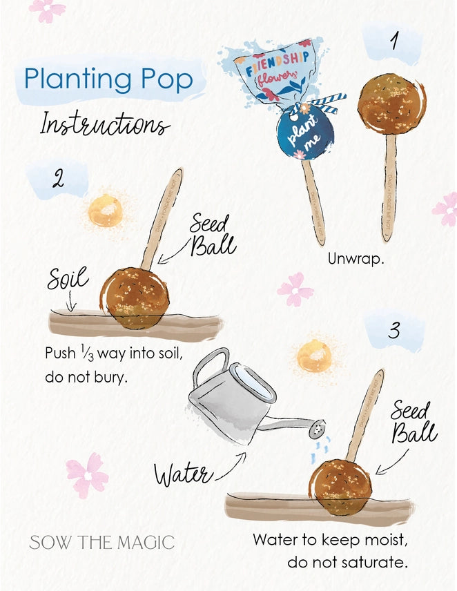 Friendship Flowers Planting Pop