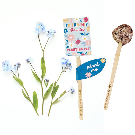 Friendship Flowers Planting Pop