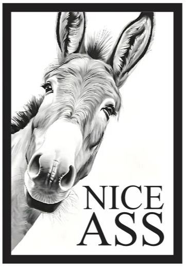 Nice Ass