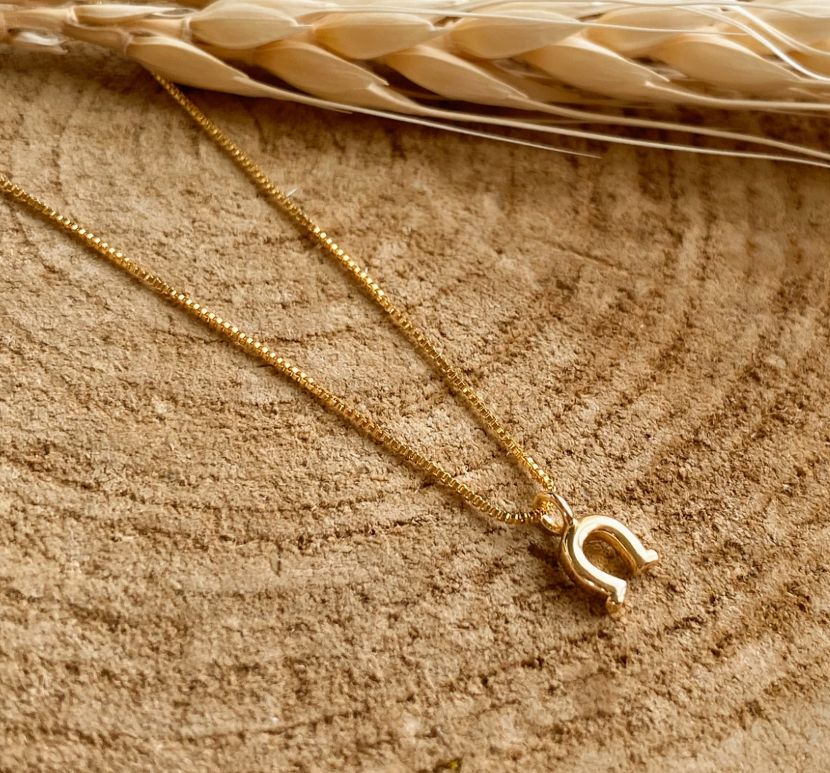 The Rodeo Mini Necklace