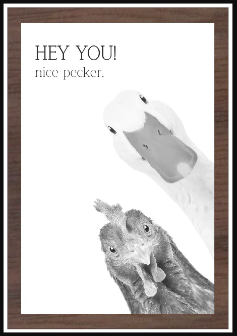 Hey You, Nice Pecker
