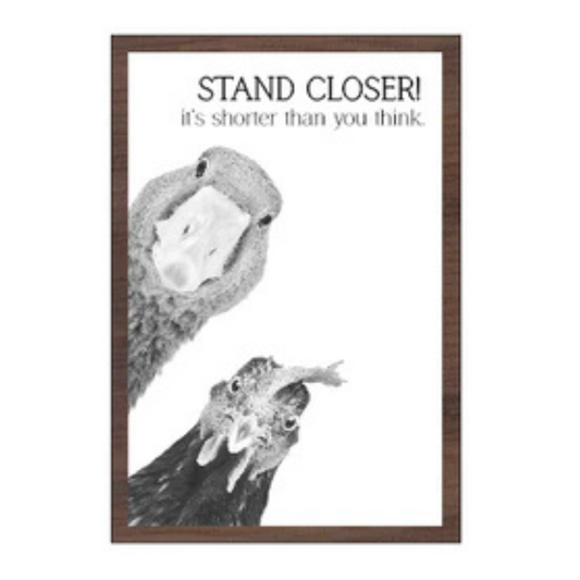 Stand Closer