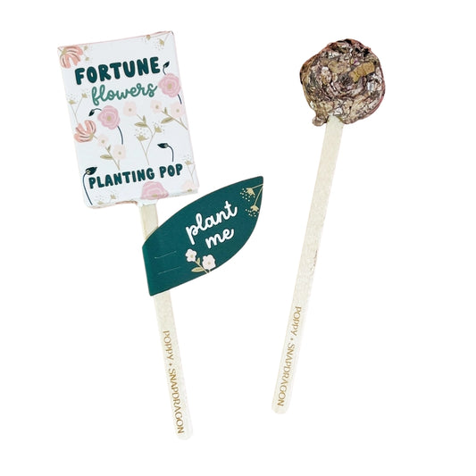 Friendship Flowers Planting Pop