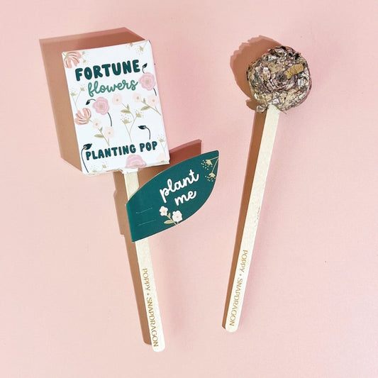 Fortune Flowers Planting Pop