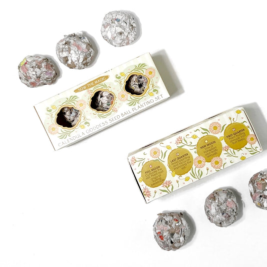 Calendula Goddess Mini Seed Ball Planting Set